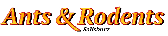 Salisbury Ant Exterminator & Rodent Control Company Logo